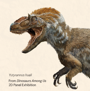 AMNH Partner Resources